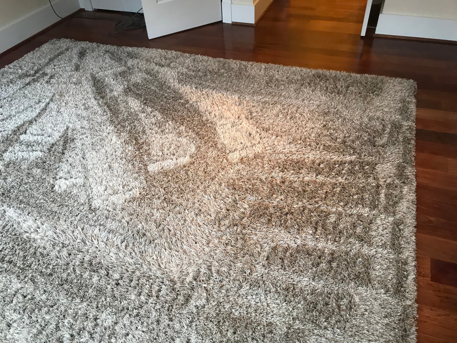 Safavieh Issac Mizrahi Shag Area Rug 8x10 - Etsy