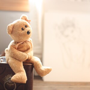 K&ouml;nnte beinhalten: Ein brauner Teddyb&auml;r mit einer rosa Schleife sitzt auf einer Holzkiste mit einem Metallgriff. Der B&auml;r schaut nach rechts.