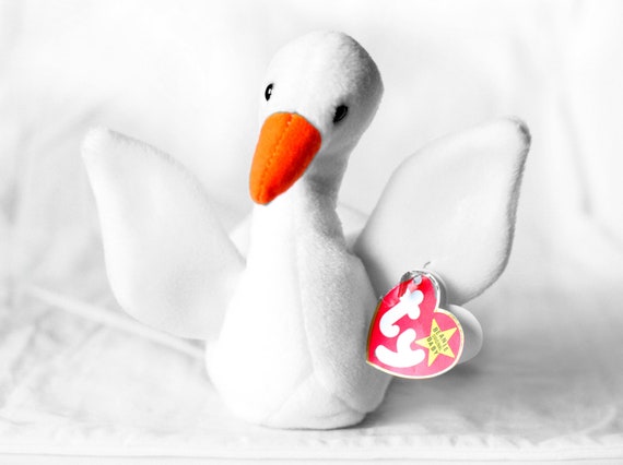 Gracie the swan beanie baby value Clearance