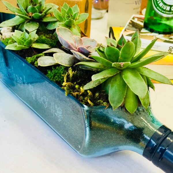 Wine Bottle Planter Etsy UK