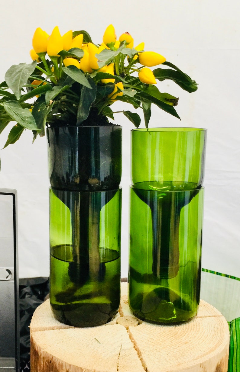 Hydroponic Garden In Wine Bottle / Indoor Herb Garden / Wine | Etsy