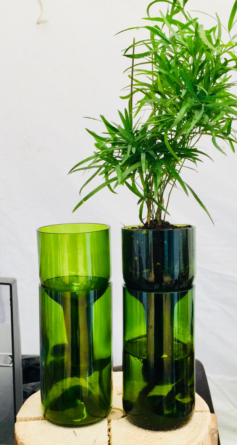 Hydroponic Garden in Wine Bottle / Indoor Herb Garden / Wine Gift
