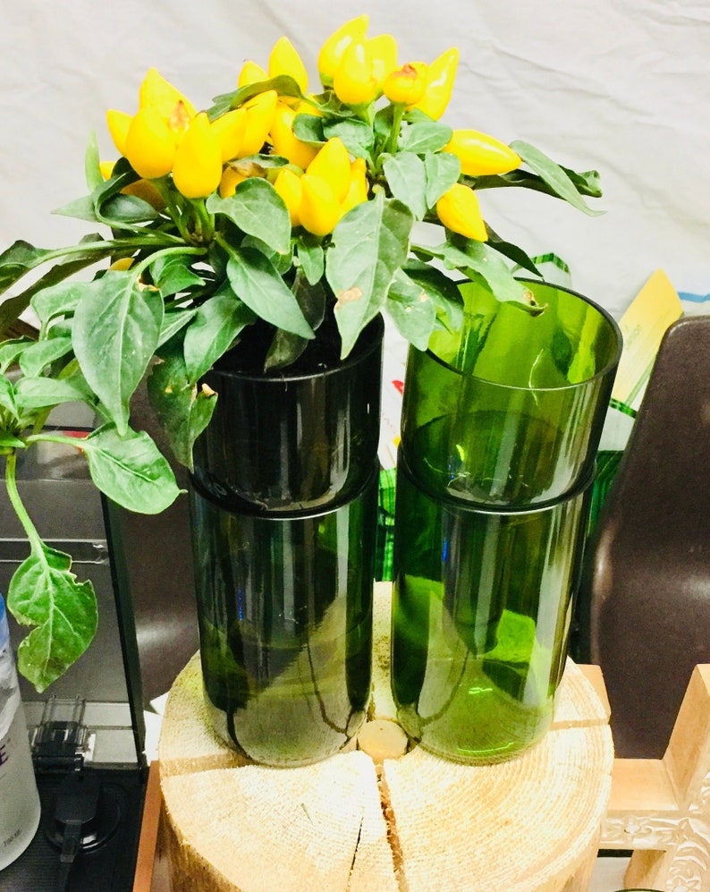 Hydroponic Garden in Wine Bottle / Indoor Herb Garden / Wine Gift