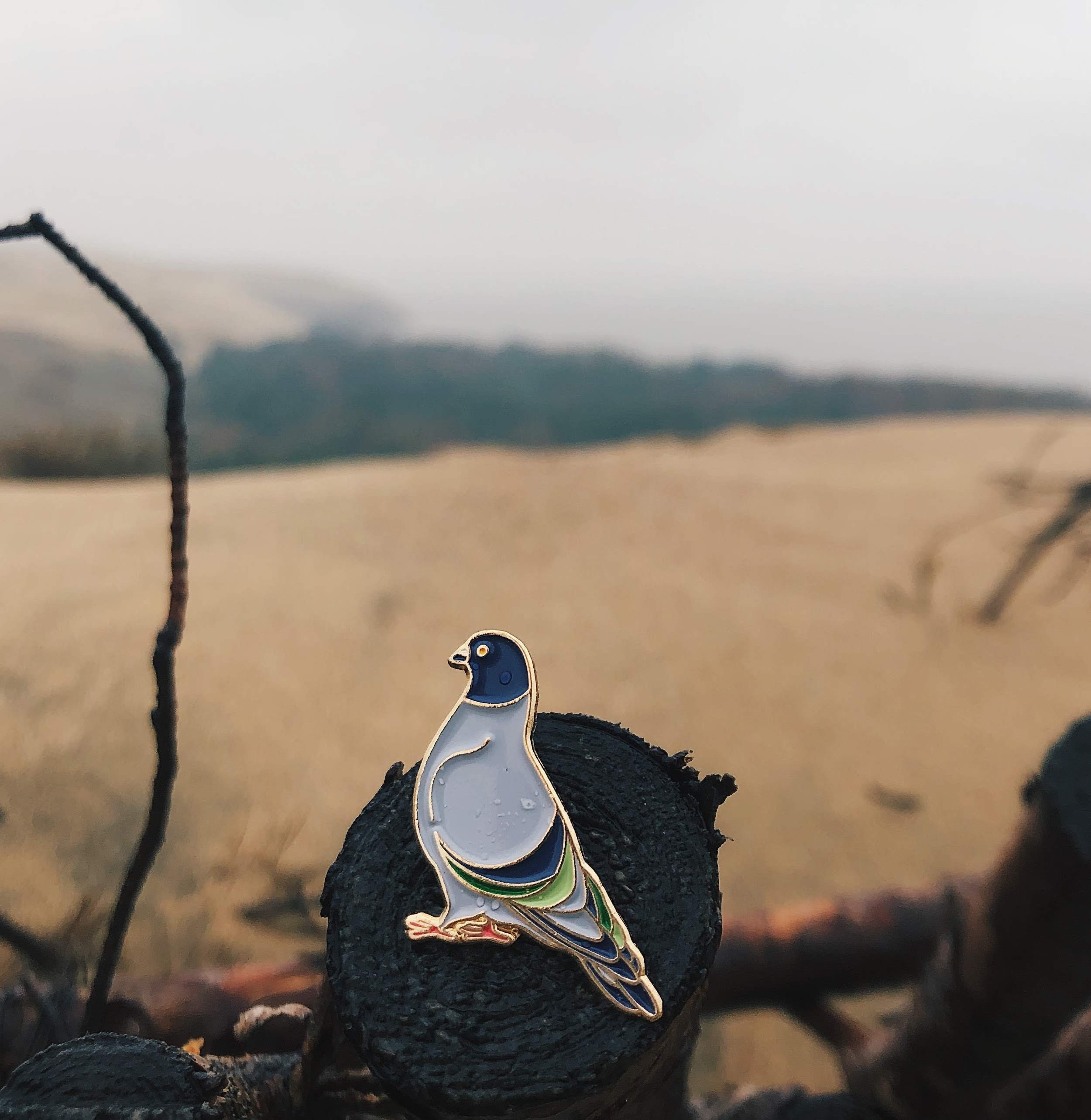 Pigeon Pin - Bird Lapel Pin - Enamel Pin - Bird Lovers Pin - Funny ...