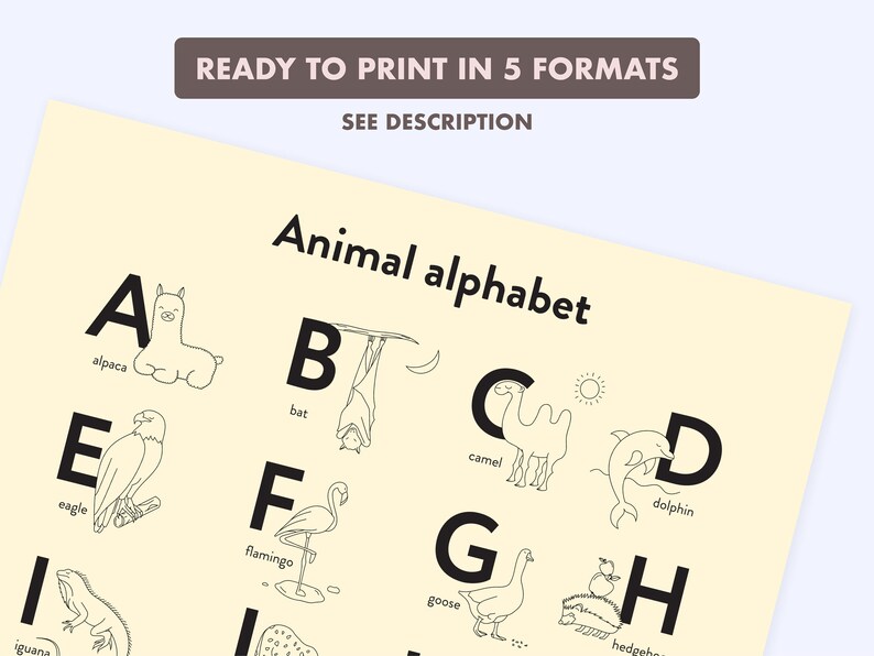 Animal Coloring Poster - Coloring Page - ABC Poster - Educational Print ...
