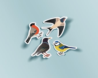 Birdie Sticker Pack - 10-Piece Vinyl Pack for Scrapbooking & Decorating - Wildlife Birds Retro Stickers - Colourful Bird Sticker Bundle