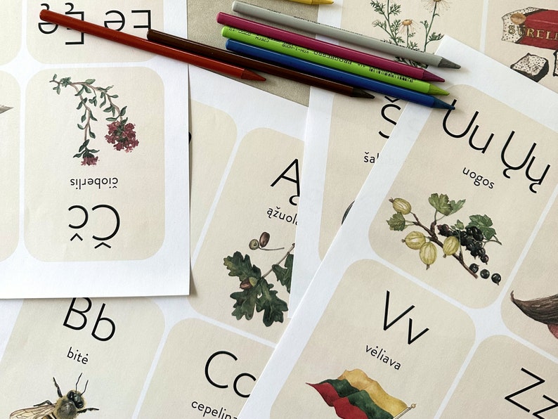 Printable Cards Lithuanian Language Learning Digital - Etsy