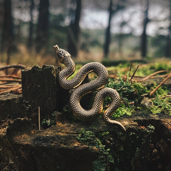 Serpent Pin - Earth Enamel Pin - Nature Lovers Pin - Australian Pin - Golden Pin - 3D Pin