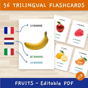 56 cartes éducatives - Apprentissage montessori - Fruits - PDF modifiable - Français + Néerlandais + Italien