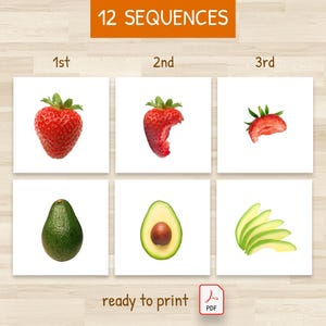 3-Stappen Sequentie Oefening – Sequentieactiviteiten voor Kinderen – 12 Educatieve Sequenties – Montessori – Klaar om Af te Drukken