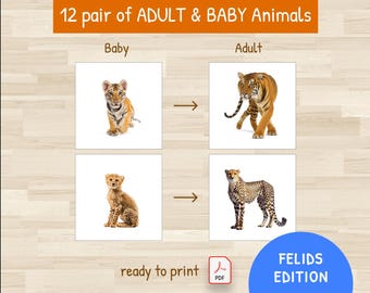 12 Tiere für Babys und Erwachsene - Katzen-Edition - Zuordnungsspiel für Kinder - Katzen-Edition - Montessori - Digitaler Download