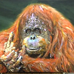 Big Red Bird.  Giclee prints from my original  painting of orangutan, apes monkeys africa Paintings of primates monkey