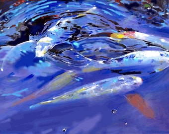 White Koi.   Giclee prints koi pond goldfish garden painting of fish pond