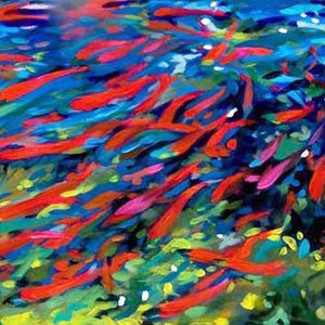 Frayer sockeye.  Giclee imprime de mon original