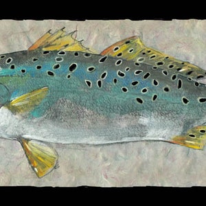 Sea Trout     gyotaku prints, from rubbings of real fish gamefish - fishing -fish art- marine art