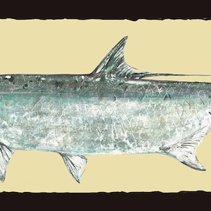 Tarpon.    impresiones gyotaku, de frotamientos de peces reales - pesca -arte de pescado- arte marino