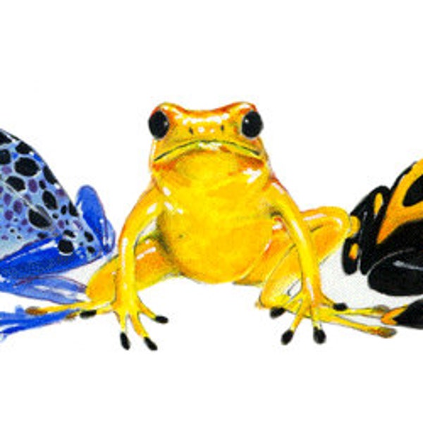 Wanna Croak dart frogs   rainforrest watercolor frogs