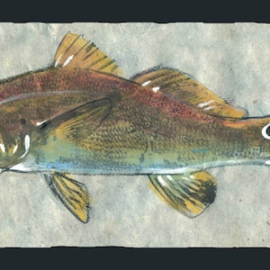 Red Drum.   gyotaku prints, from rubbings of real fish gamefish - fishing -fish art- marine art