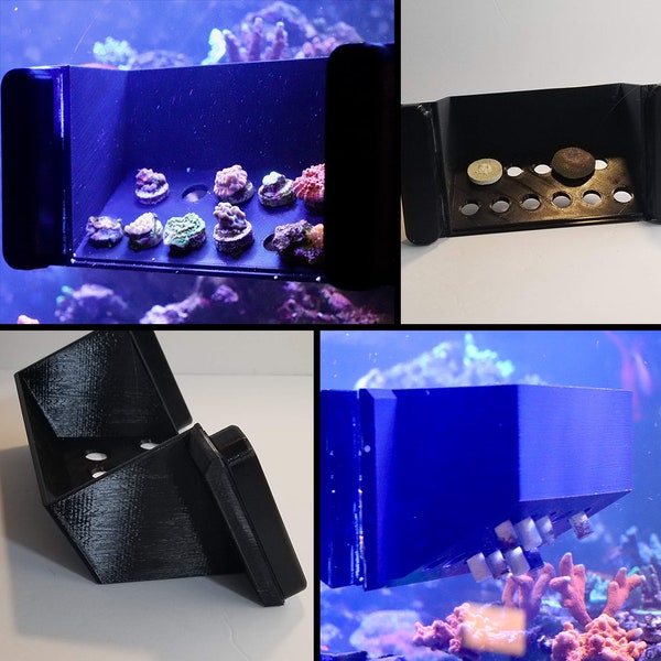 Reef Aquarium Magnetic Angled Coral Frag Photo Booth