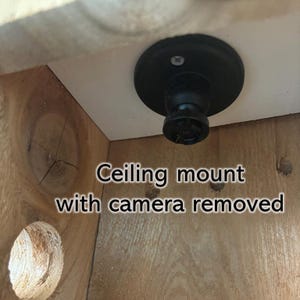 Bluebird House with Video Camera Cedar | Predator Guard | Insulated Weatherproof image 5