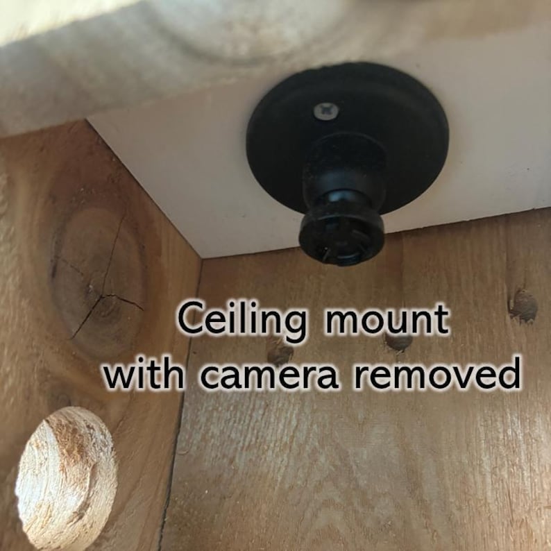 Bluebird House with Video Camera Cedar | Predator Guard | Insulated Weatherproof image 5