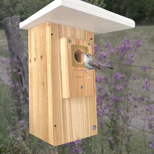 May include: A wooden birdhouse with a white roof and a small bird perched near the entrance. The birdhouse is rectangular with a square opening and a brass-colored plate around the hole. The background features purple flowers and a wooden fence.
