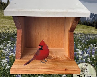 Cardinal Robin Phoebe Dove Barn Swallow Nest Shelf  | Cedar |  Weatherproof Roof