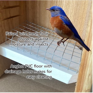 Bluebird House with Video Camera Cedar | Predator Guard | Insulated Weatherproof image 7