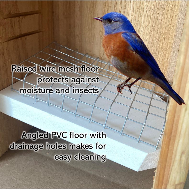 Bluebird House with Video Camera Cedar | Predator Guard | Insulated Weatherproof image 7
