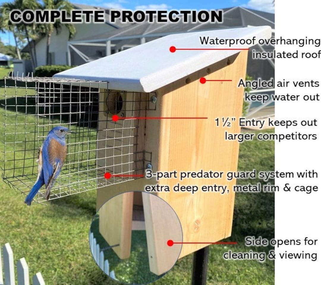 Hoverman Bluebird House Cedar Insulated Predator Guard Etsy
