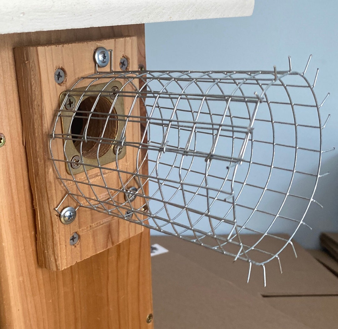 Birdhouse Predator Guard Leonard Style Etsy