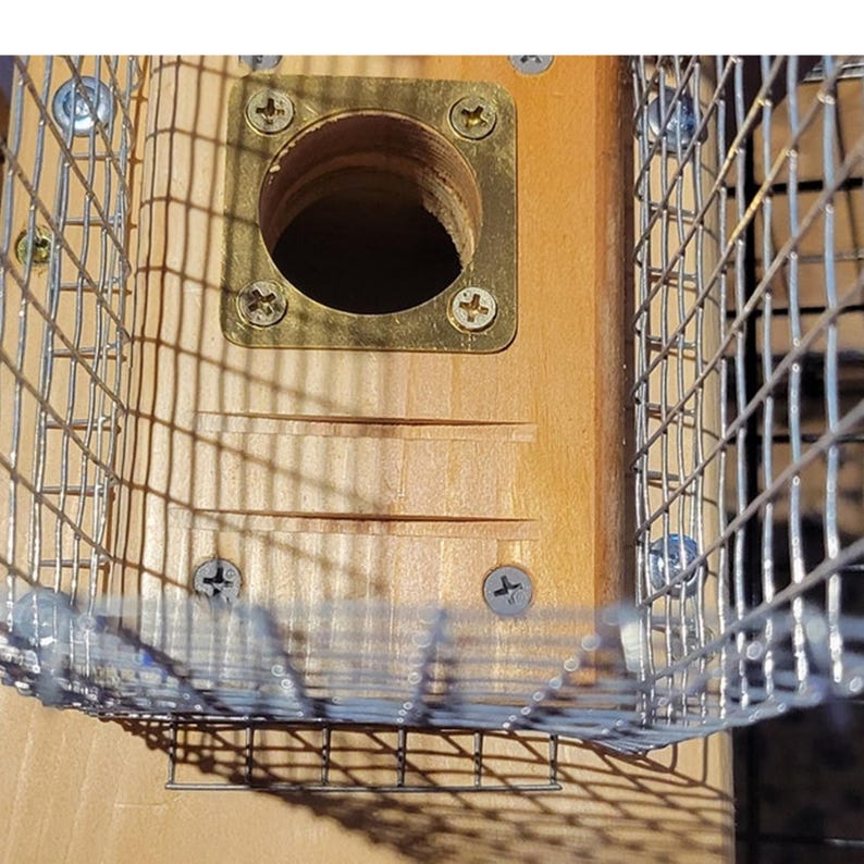 Bluebird House with Video Camera Cedar | Predator Guard | Insulated Weatherproof image 12