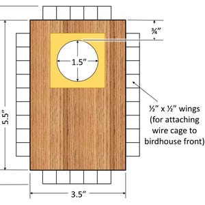Bluebird House with Video Camera Cedar | Predator Guard | Insulated Weatherproof image 15