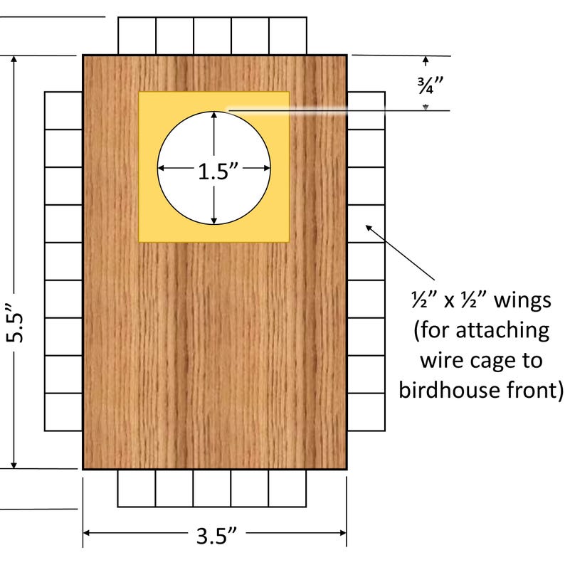 Bluebird House with Video Camera Cedar | Predator Guard | Insulated Weatherproof image 15
