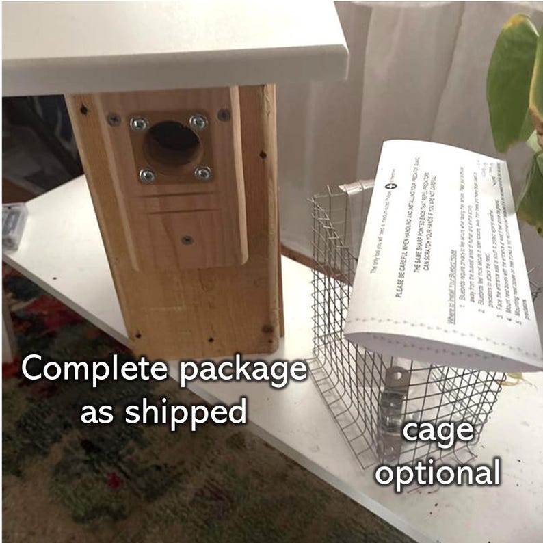 Bluebird House with Video Camera Cedar | Predator Guard | Insulated Weatherproof image 11