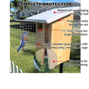 Hoverman Bluebird House | Cedar | Insulated | Predator Guard | Weatherproof