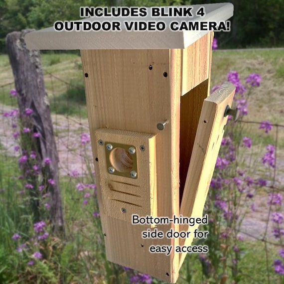 Bluebird House with Video Camera Cedar | Predator Guard | Insulated Weatherproof