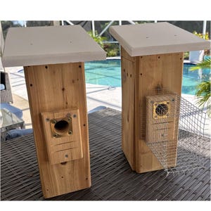 Bluebird House with Video Camera Cedar | Predator Guard | Insulated Weatherproof image 6