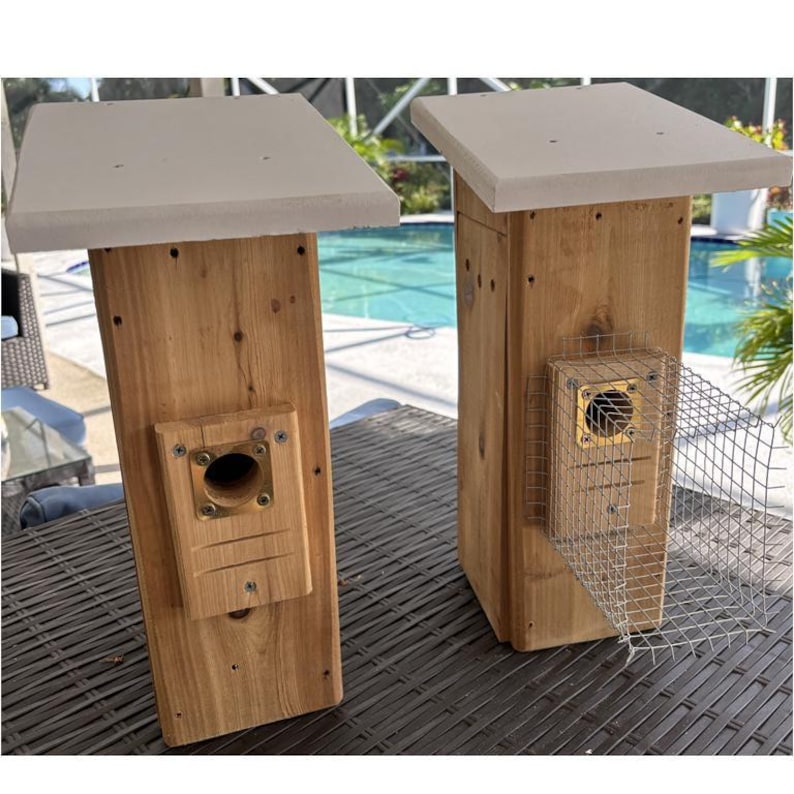 Bluebird House with Video Camera Cedar | Predator Guard | Insulated Weatherproof image 6