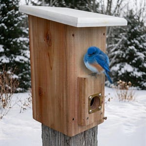 Insulated Roost Box for Songbirds | Cedar | Predator Guard | Weatherproof