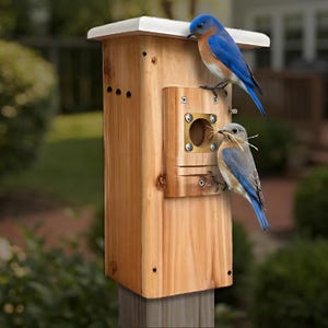 Bluebird House with Video Camera Cedar | Predator Guard | Insulated Weatherproof