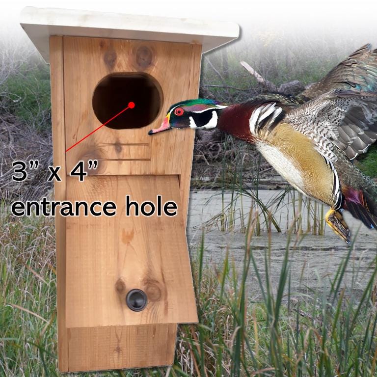 Wood Duck Nesting Box