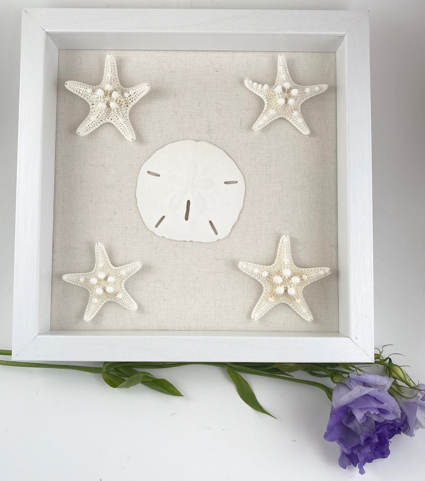 10x10 Custom White Framed Seashell Shadow Box w/Optional Glass Etsy