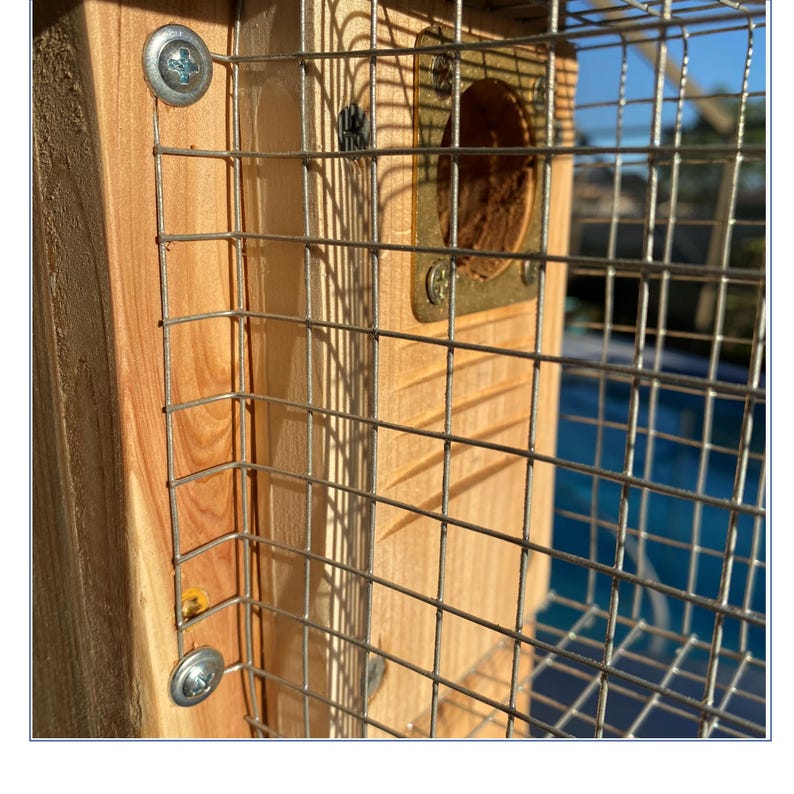 Bluebird House with Video Camera Cedar | Predator Guard | Insulated Weatherproof image 8