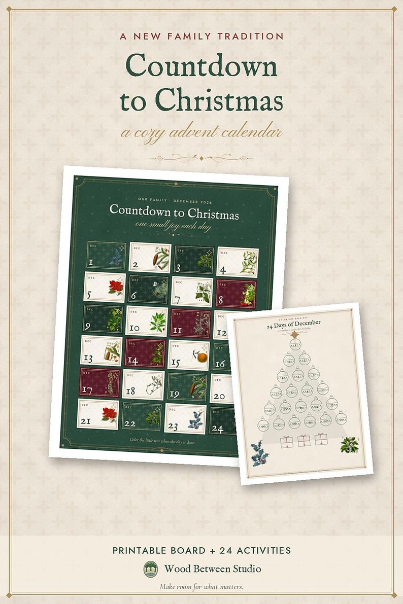 Advent Calendar Printable, 24 Family Christmas Countdown Activity Cards, Kids Holiday Traditions, Instant Download image 7