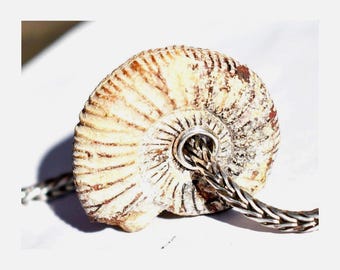 Natural Ammonite Fossil Pendant Charm Bead, 32mm, full silver core, for European Necklace