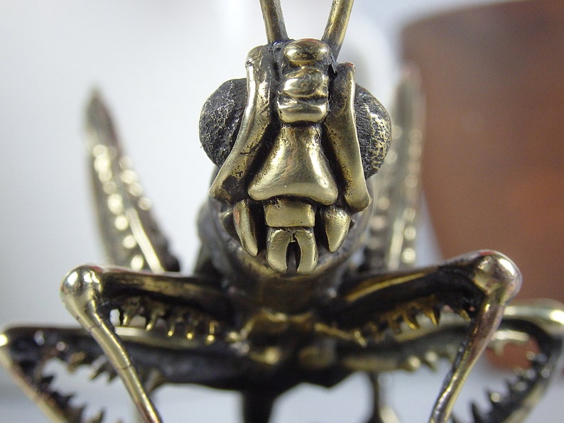 Klein souvenir Sprinkhaan, realistisch bronzen insect, handgemaakte krekel, kleine terrasdecoratie, symbool van gezellig huis, zomer en vakanties afbeelding 3