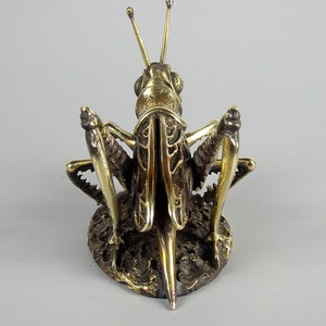 Klein souvenir Sprinkhaan, realistisch bronzen insect, handgemaakte krekel, kleine terrasdecoratie, symbool van gezellig huis, zomer en vakanties afbeelding 6