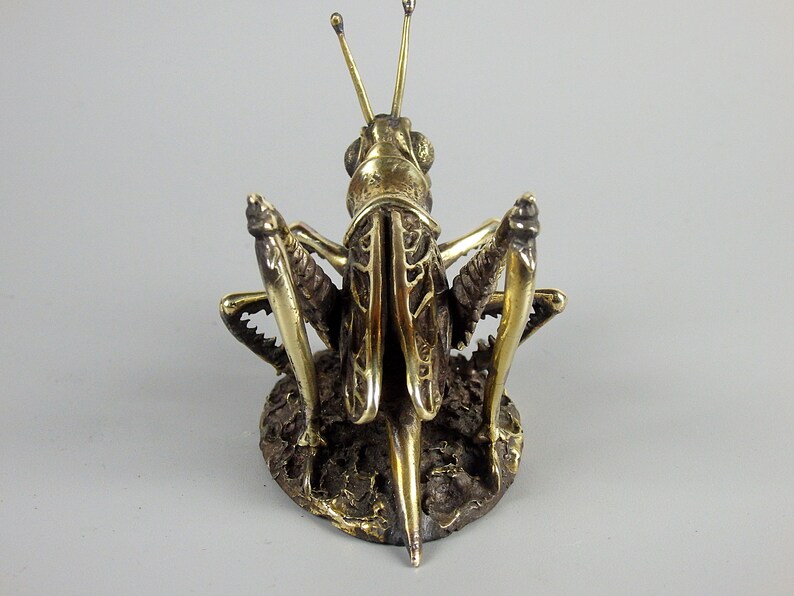 Klein souvenir Sprinkhaan, realistisch bronzen insect, handgemaakte krekel, kleine terrasdecoratie, symbool van gezellig huis, zomer en vakanties afbeelding 6