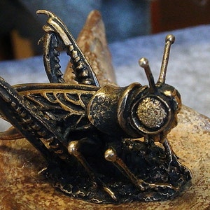 Klein souvenir Sprinkhaan, realistisch bronzen insect, handgemaakte krekel, kleine terrasdecoratie, symbool van gezellig huis, zomer en vakanties afbeelding 9